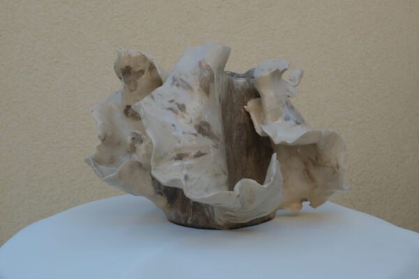 VASE #4